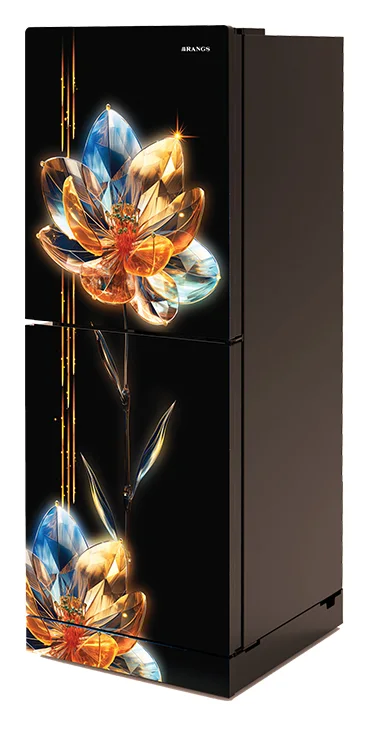 Rangs Crystal Lotus 225 Ltr Refrigerator — 2