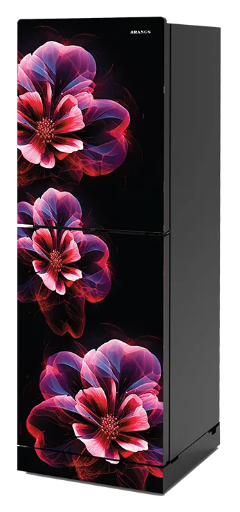 Rangs Ember Red Flower 261 Ltr Refrigerator — 2