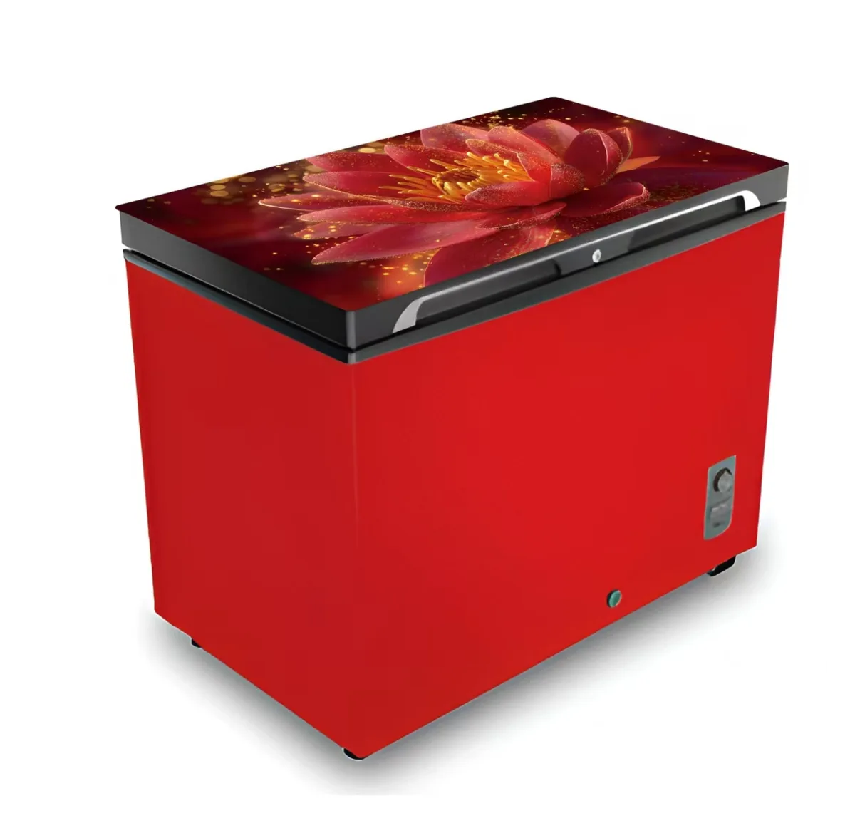 Vision RE-250L Red Queen Lotus glass door chest freezer, 250 liter