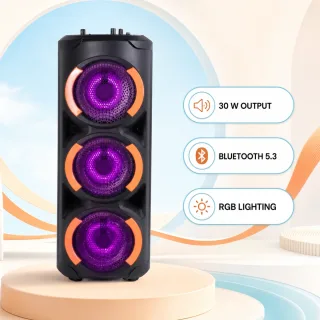 Vision Party Speaker VPS-65 — 1