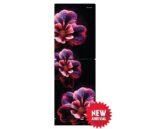 Rangs Ember Red Flower 261 Ltr Refrigerator